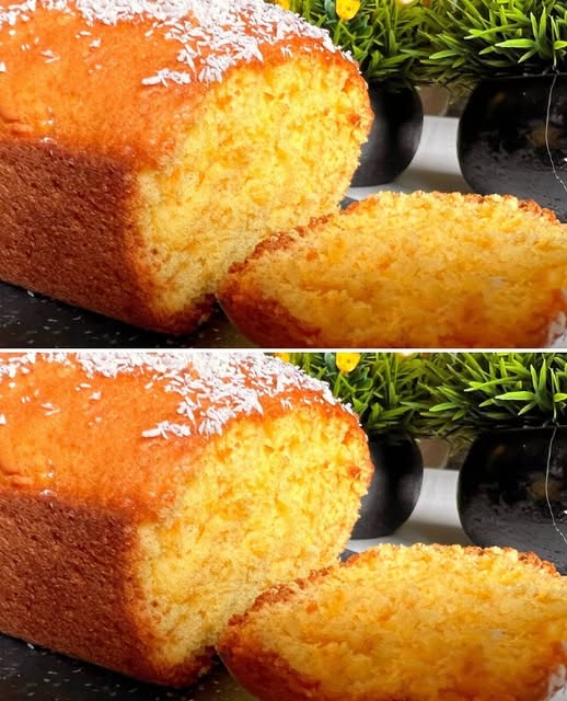 471604562 122211773492089052 1647985474360496797 N