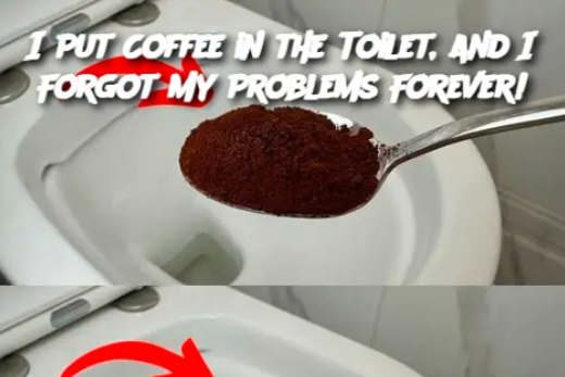 Capture D'écran 2024 12 15 165201