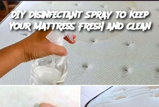 Capture D'écran 2024 12 15 170035