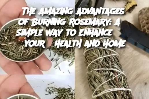 Capture D'écran 2024 12 15 182307