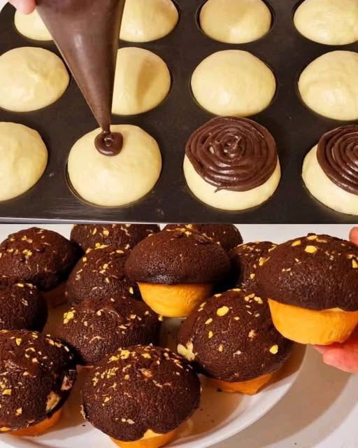 472237123 122137276430444875 158506352968320436 N