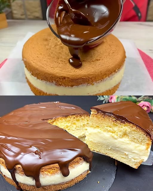 473049205 122159046794349748 4122076750627475062 N