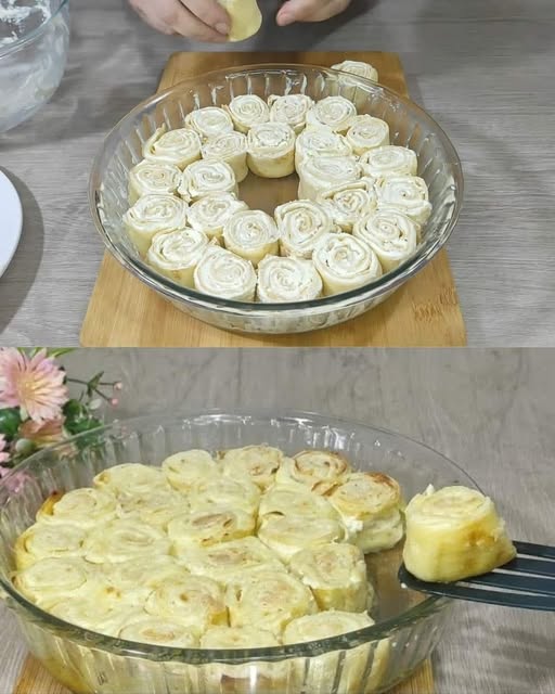 473369268 122160046028349748 2500886198416591633 N