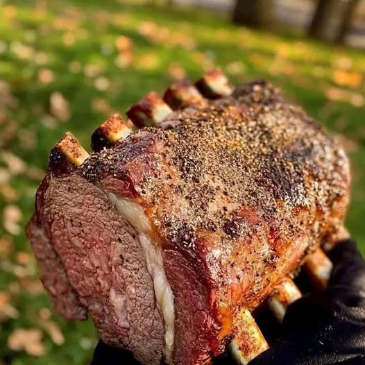 475421819 122147598344447865 3965041962411654291 N