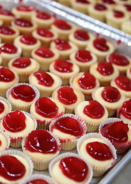 475827807 1181975783288221 7498792290603352406 N