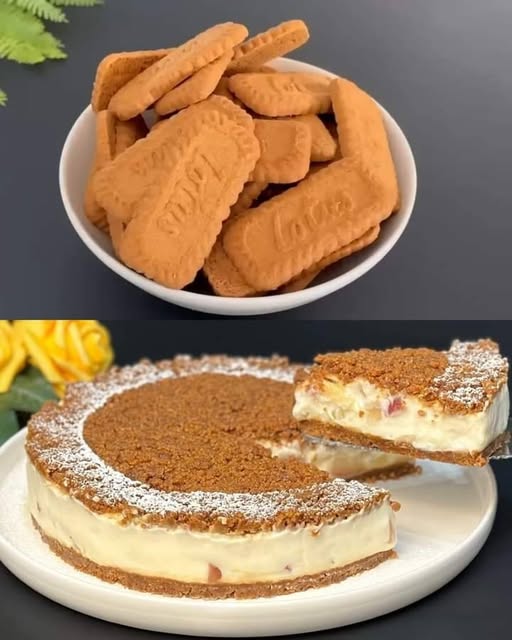 475801482 122163726284349748 354158966398785315 N