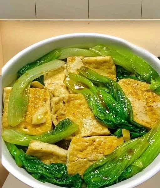 478282946 122149387724447865 2202105137019413182 N