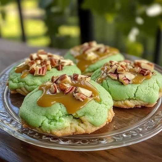 480305495 1168440818133914 6102875951742572874 N