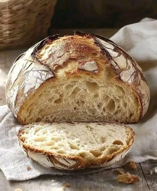 480460697 9243851285702916 4473324292350785726 N