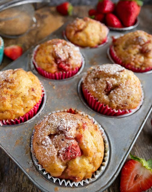 480504172 122145451496461193 2335736484585719379 N