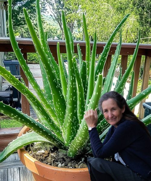 480697533 122200902332148206 8656897097073252620 N