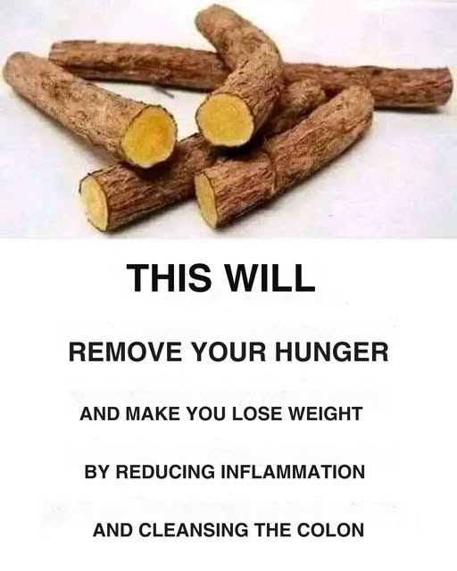 480959616 122217479678211902 2925373967463911310 N