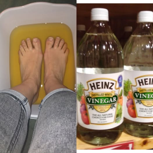 481337230 122199685910148206 4585166592737391957 N