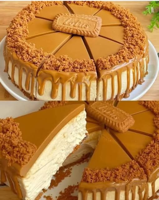 483480320 122206048874257913 3021066416344462435 N