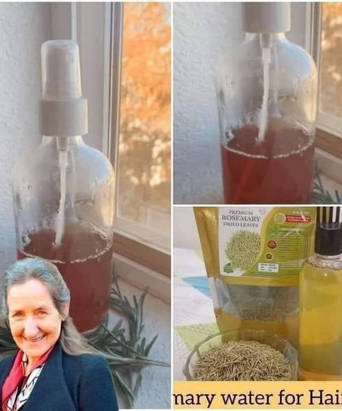 483512674 122169482588531585 3251227928814193397 N