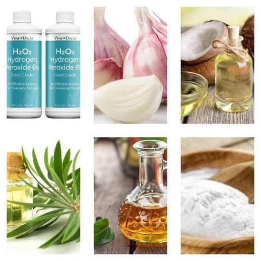 483752163 1722791291633905 8585915856492711963 N