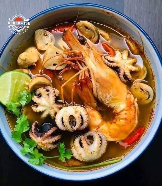 484177550 122154215552447865 2113035046345541549 N