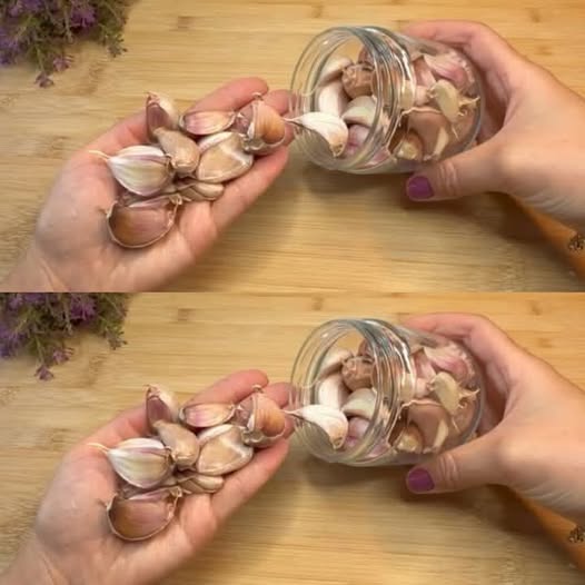 484543228 122169371486531585 1332981516026658363 N