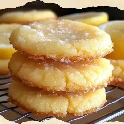 484692597 2396998733990621 8609967851302121667 N