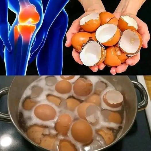 484870909 122169811220531585 6322502095496396637 N