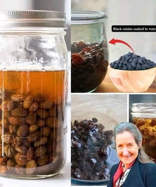 484906363 122169327734531585 4918833160981102978 N