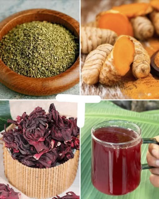 484908662 122170071590531585 6352723063824360883 N