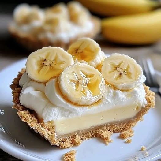 485008467 122136103658584314 667904465611511960 N