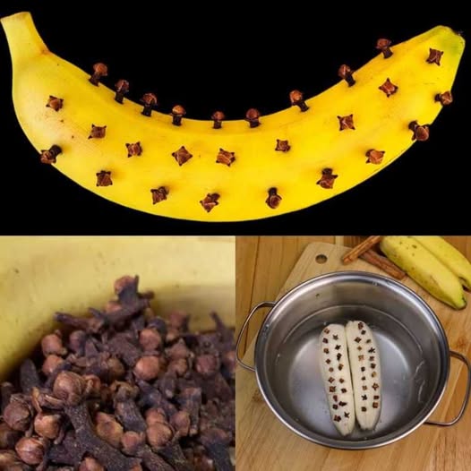 485167977 122166271760322097 6887243792587800066 N