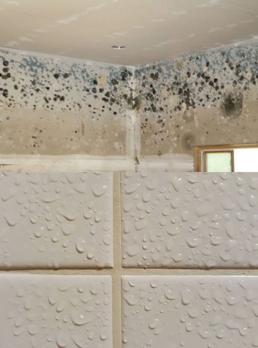 485201751 582790704804411 8691289941771666595 N