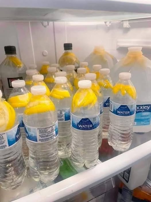 485310716 582715188145296 3404565816416490979 N