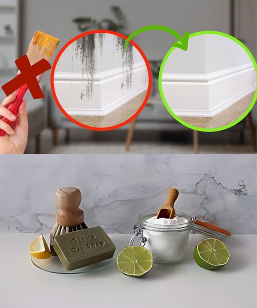 485346692 582534318163383 8348932658054334240 N