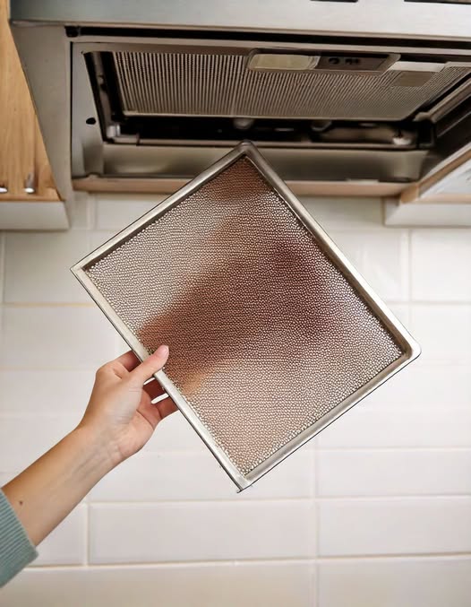 485727529 582730294810452 7811150413482620624 N