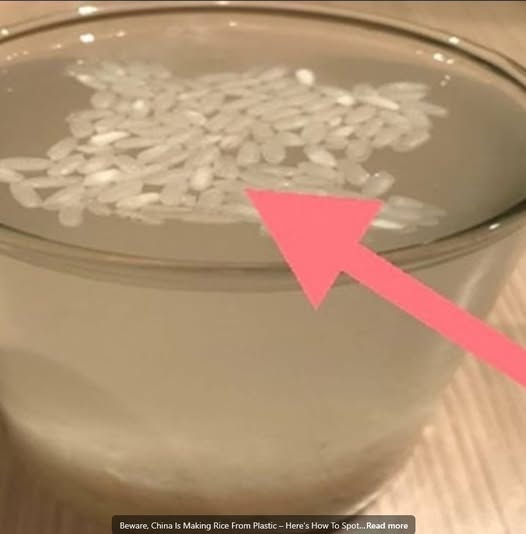 485730105 582829564800525 6510656351451125081 N