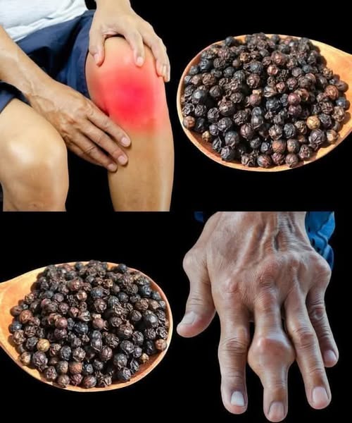 492486269 1364700098102161 4445953408043157835 N