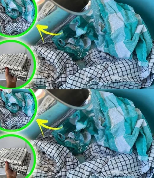 492611194 122180134934349748 364667852559433139 N