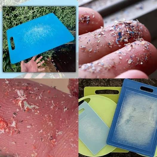 493132811 122180004848349748 7702164261549778014 N