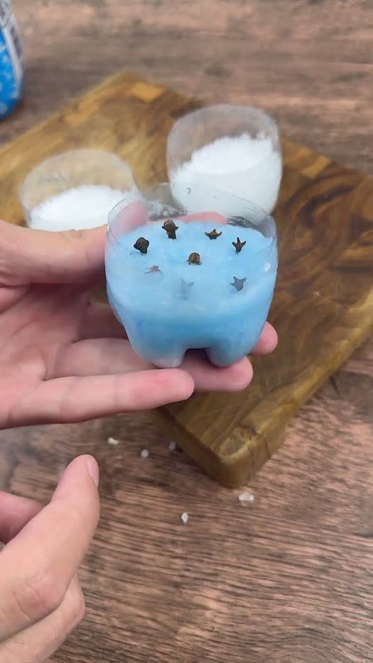 493216006 122210228258143339 6382389450726345953 N