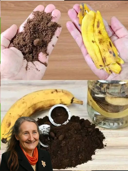 493320684 122111523632824571 4034558961940118275 N