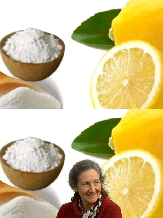493398261 122111707892824571 1485516891160523303 N