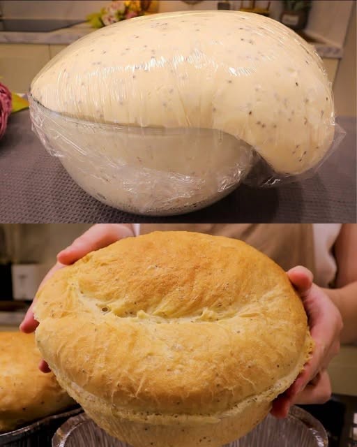 493691769 122226613958225193 4290049614527621442 N