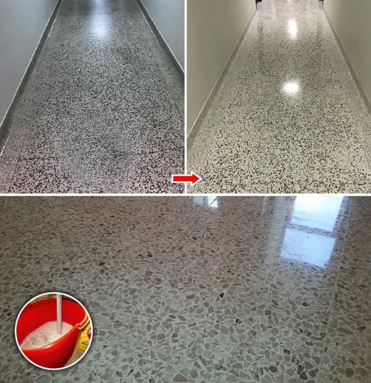 493930729 122210261228143339 4669927964743492465 N