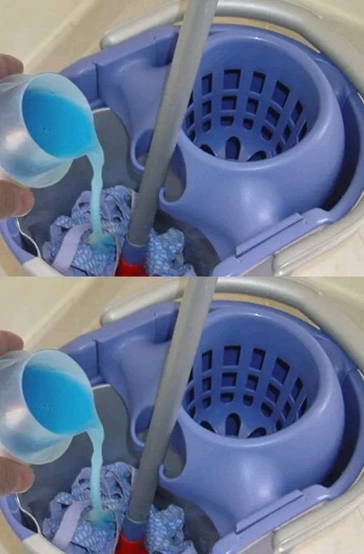 493972149 122210251844143339 7827977605327385700 N