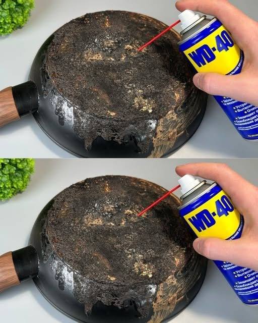 493976163 122180046992349748 4749938837452660183 N