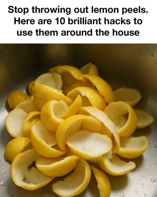 494067174 122210262830143339 379648416465490925 N