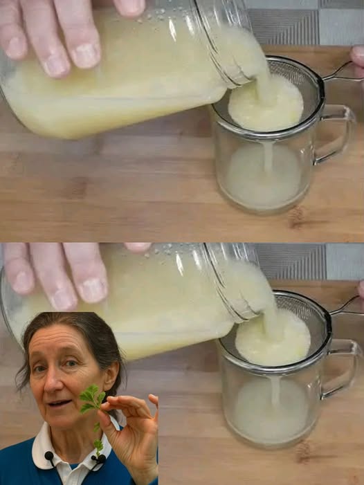 494105922 122111742182824571 3515333987958554091 N