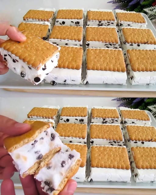 494150176 665292999454203 1619681861879031220 N