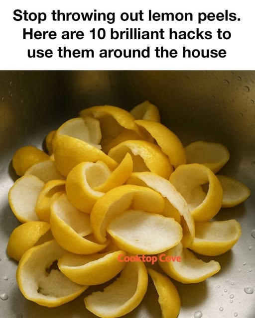 494428201 122180656856349748 8556858739096033720 N