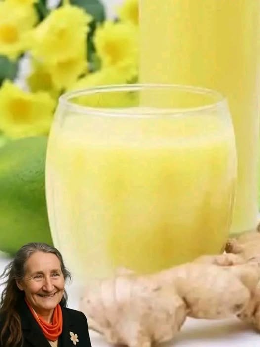 491947595 1414589639543652 5135586945153256050 N