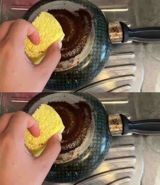 493308040 122245286558229731 3236789428308607719 N