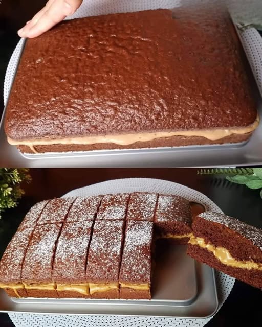 494070164 122227118522225193 2375300888458685028 N